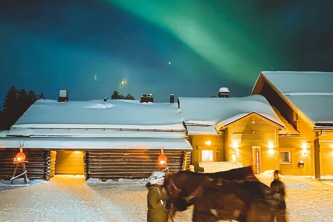 Horse Sleigh Ride Under The Night Sky in Apukka Resort, Rovaniemi - Experiencing the Magic of the Night Sky in Rovaniemi