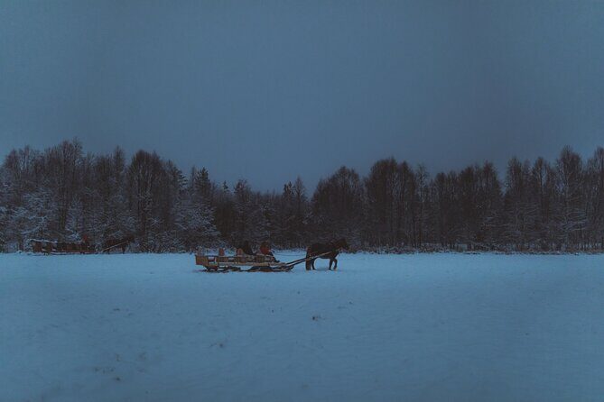 Horse Sleigh Ride Under The Night Sky in Apukka Resort, Rovaniemi - Frequently Asked Questions