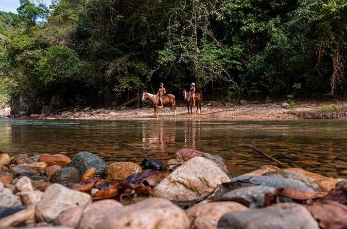 Horse Tour - The Sum Up