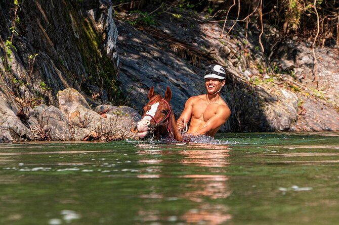 Horse Tour - FAQ About the Horse Tour