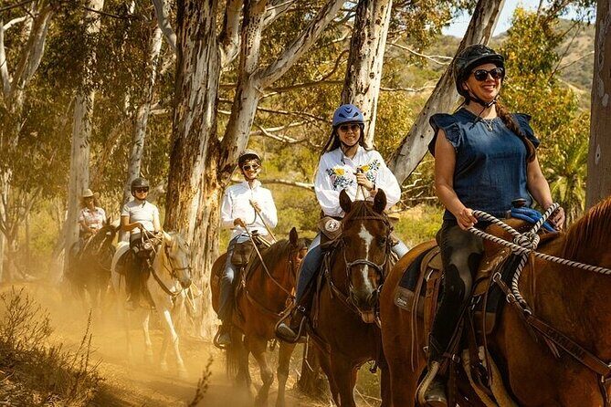 Horse Trail and Canyon Group Ride on Catalina Island - Who Will Love This Tour