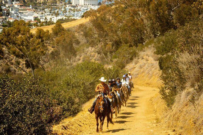 Horse Trail Overlook Group Ride on Catalina Island - A Closer Look at the Experience