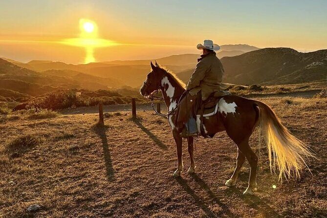 Horse Trail Overlook Group Ride on Catalina Island - What Travelers Are Saying (Based on Reviews)