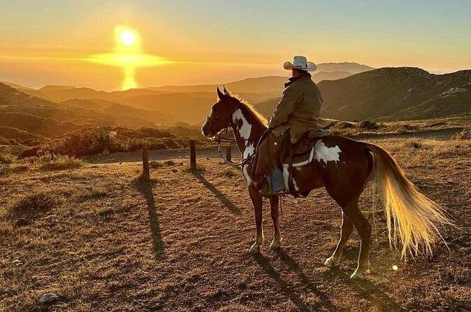 Horse Trail Overlook Group Ride on Catalina Island - Who Will Love This Tour?