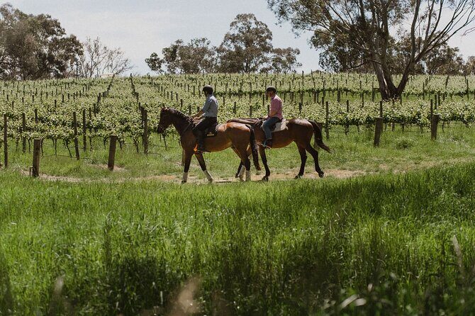 Horse Trail Ride and Wine Tasting at Adelaide Hills Winery - Key Points