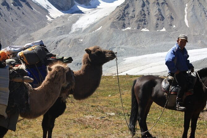 Horse Trekking in Altai Tavan Bogd National Park - Who Should Consider This Tour?