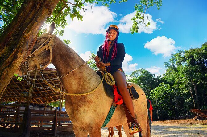 Horse Xtreme Wild - The Experience: What You Can Expect