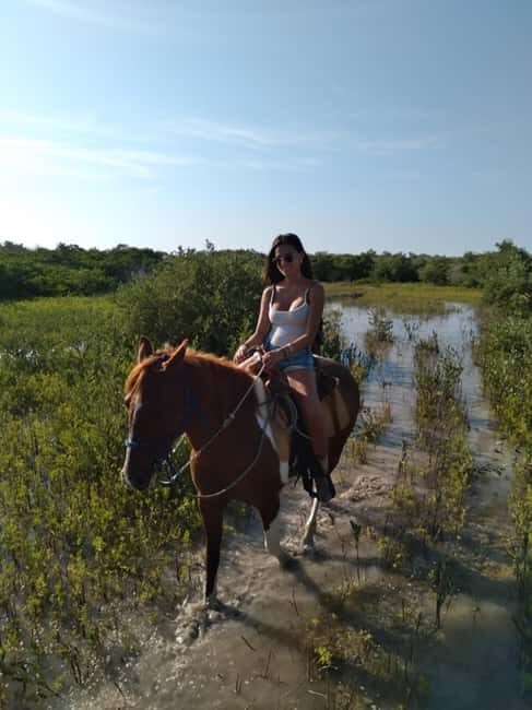 Horseback Adventure in Holbox - A Detailed Look at the Horseback Adventure in Holbox