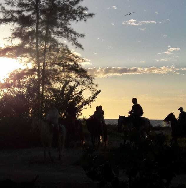 Horseback Adventure in Holbox - FAQ