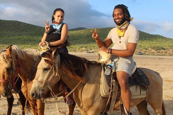 Horseback Adventures - Introduction: What to Expect from Horseback Adventures in Cabo
