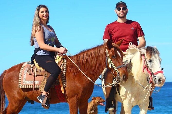 Horseback Adventures - How the Experience Has Been Received