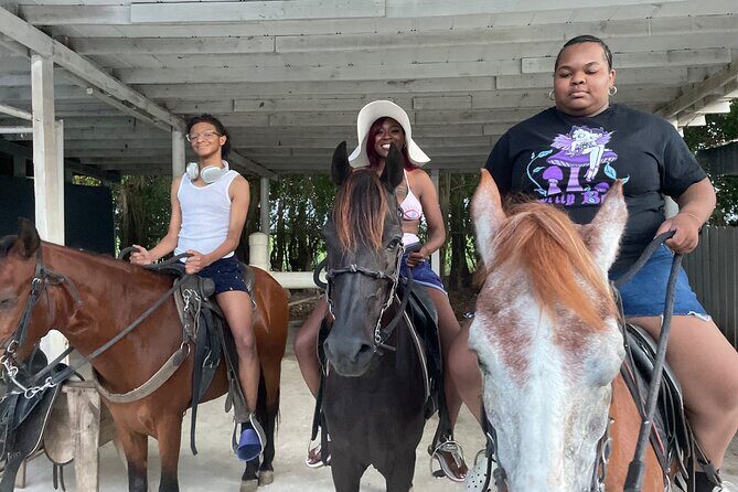 Horseback Experience in Miami - Diving Into the Experience: What to Expect from the Miami Horseback Tour