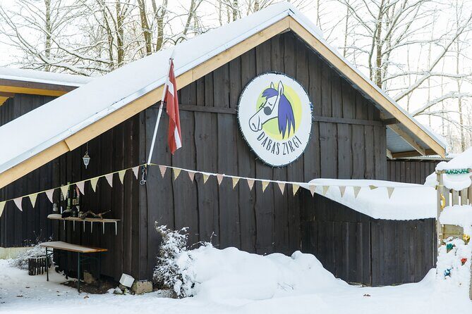 Horseback ride (1 hour) - What You Can Expect from the Tour