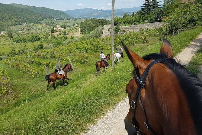 Horseback ride and gourmet cuisine in a historic food shop - Detailed Breakdown of the Experience