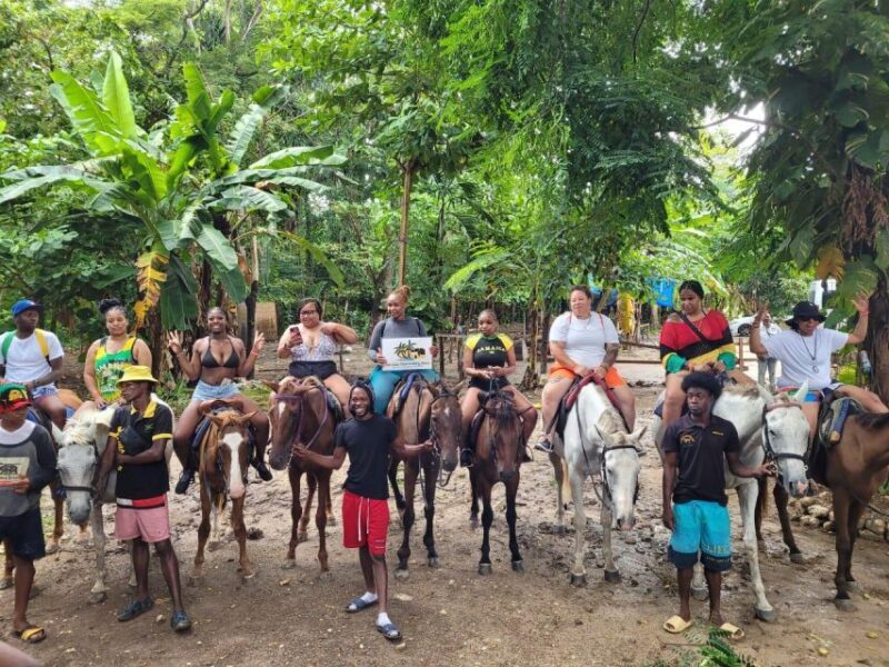 Horseback Ride, Blue Hole, Secret Falls & River Tubing Tour - Who Will Love This Tour?