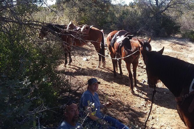Horseback Ride for 2 or more - Practical Tips for Your Ride