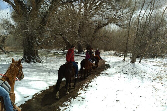 Horseback Ride for 2 or more - The Sum Up: Who Should Consider This Tour?