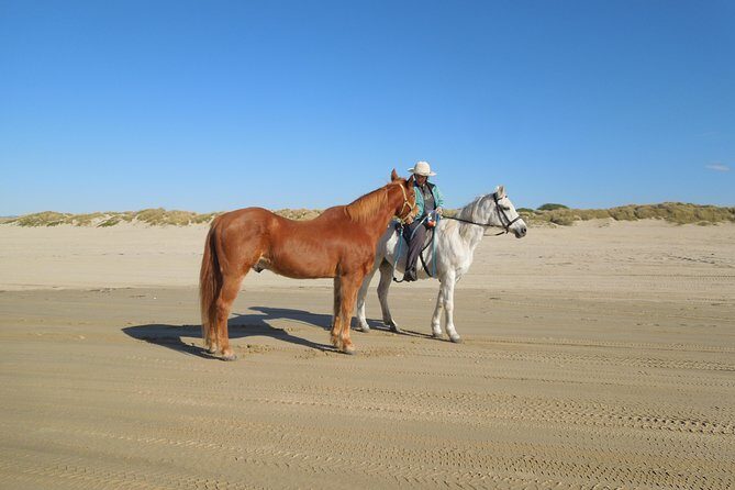 Horseback Ride on the Beach & Alcatraz Tour in San Francisco - An In-Depth Look at the Experience