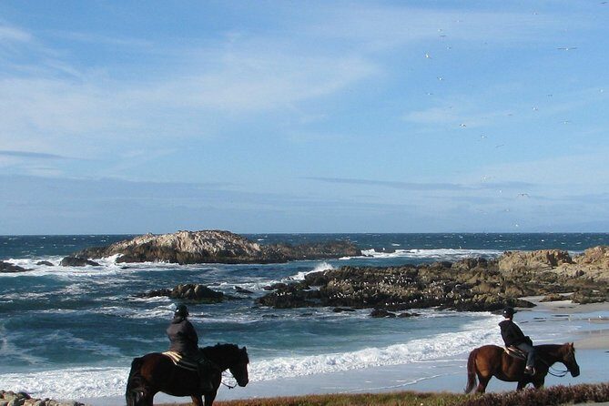 Horseback Ride on the Beach & Alcatraz Tour in San Francisco - Final Thoughts