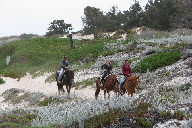 Horseback Ride on the Beach & Alcatraz Tour in San Francisco - FAQ