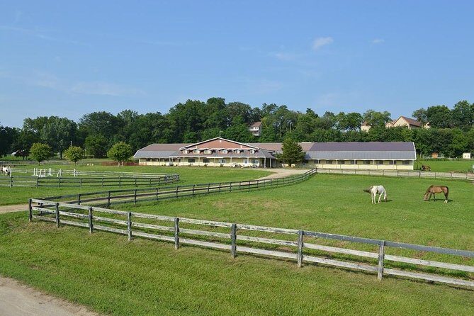 Horseback Rides, Interactions, and Petting Zoo - FAQs