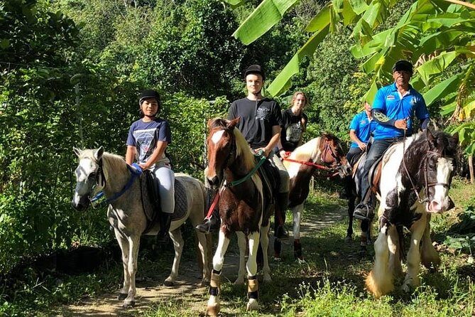Horseback Riding 1 hour trail - Deep Dive: The Experience and Authenticity