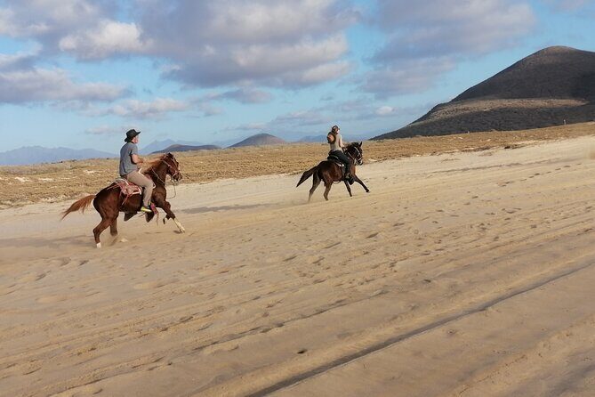 Horseback riding - The Practicalities: Pricing, Booking, and Cancellation