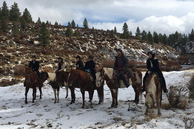 Horseback Riding Adventure from Reno - Value for Money