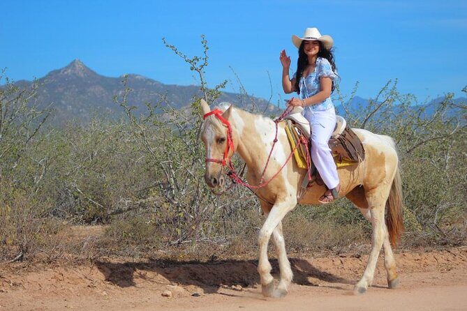Horseback Riding Adventure in Playa Migriño with Tequila Tasting - An In-Depth Look at This Baja Adventure