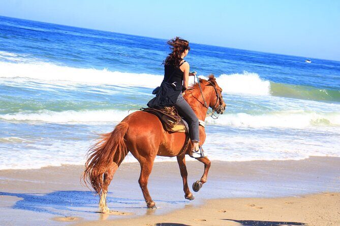 Horseback Riding Adventure in Punta Mita Nayarit - Key Points