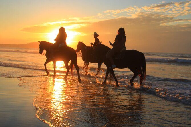 Horseback Riding Adventure in Punta Mita Nayarit - Analyzing the Price and Overall Value