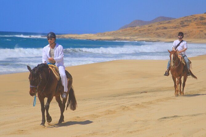Horseback Riding Adventure y Tequila Tasting in Los Cabos - Introduction: What to Expect from This Horseback Ride