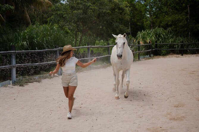 Horseback Riding and Cenote Swim from Cancun or Playa del Carmen - A Deep Dive into the Experience