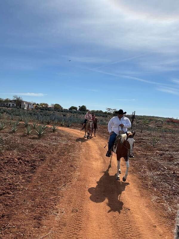 Horseback riding and Temazcal combo with lunch and mezcal - Who Will Love This Tour?