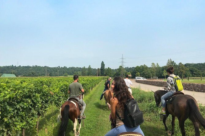 Horseback riding and wine tasting - Key Points
