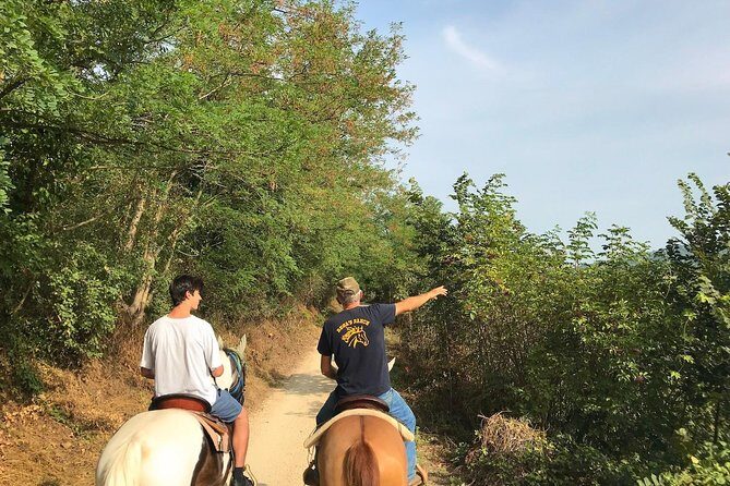 Horseback riding and wine tasting - An In-Depth Look at the Experience