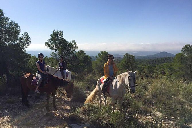 Horseback riding and wine tour (private tour) - Why We Love This Tour