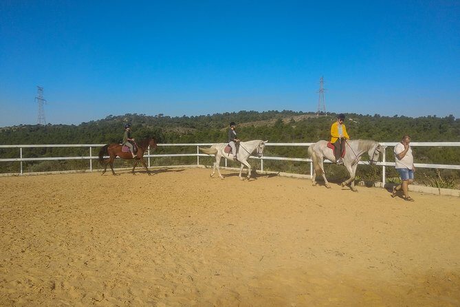 Horseback riding and wine tour (private tour) - Frequently Asked Questions