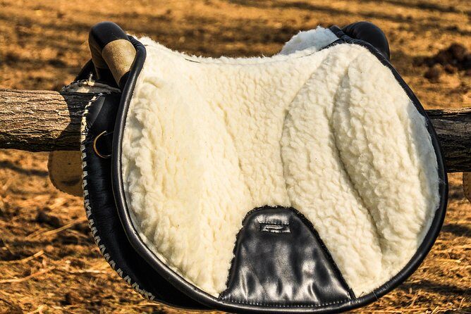 Horseback Riding and yurt stay in the Puszta, 1 hour morning ride - Introduction: What to Expect from This Puszta Adventure