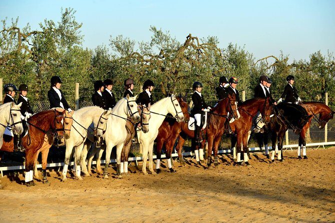 Horseback riding around Doñana - The Itinerary: A Day on Horseback in the Countryside