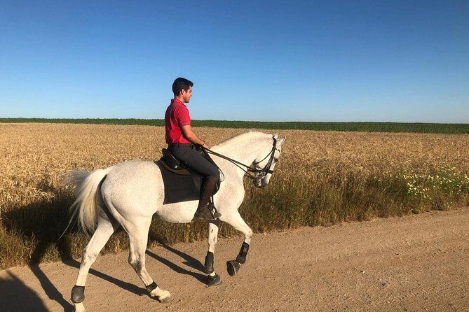 Horseback riding around Doñana - Practical Tips and Considerations