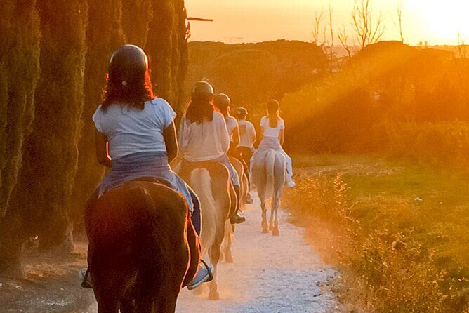 Horseback riding at sunset 1 hour at the Certosa di Pisa - Key Points