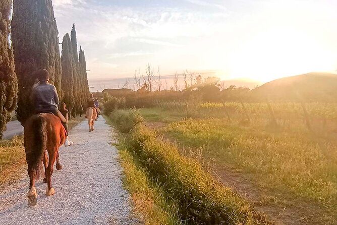 Horseback riding at sunset 1 hour at the Certosa di Pisa - Diving into the Experience: What Really Happens?