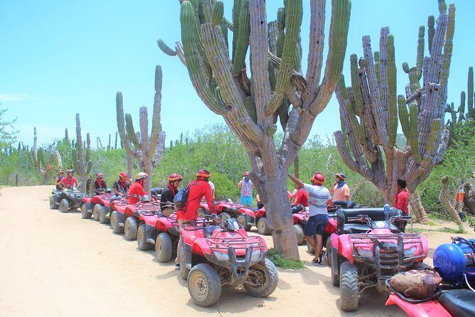 Horseback Riding & ATV Combo! Mountain Trails & Beautiful Beaches of BAJA! - Who Will Love This Tour?