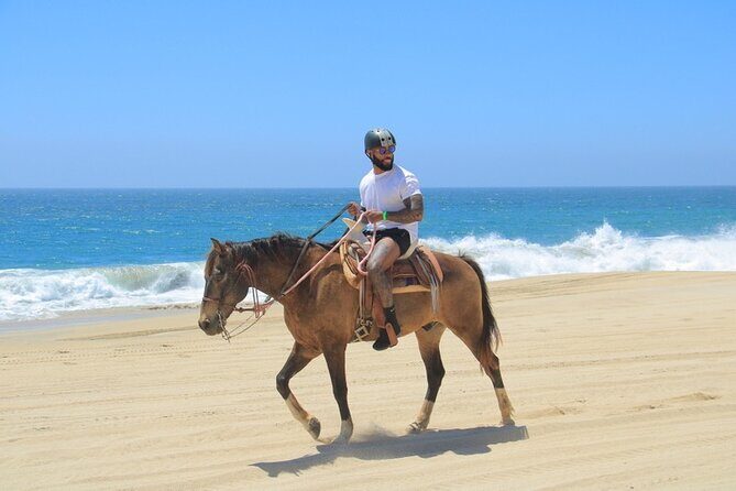 Horseback Riding Beach and Desert Adventure - What to Expect: A Step-by-Step Look at the Experience