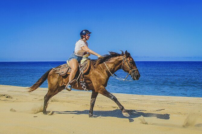 Horseback Riding Beach and Desert in Cabo by Cactus Tours Park - An Honest Look at the Baja Horseback Adventure