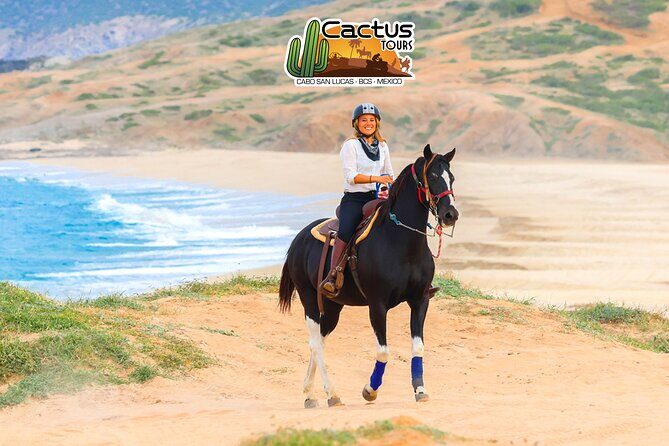 Horseback Riding Beach and Desert in Cabo by Cactus Tours Park - FAQs