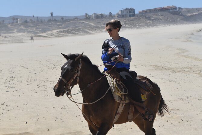 Horseback Riding Beach & Desert Adventure - The Sum Up