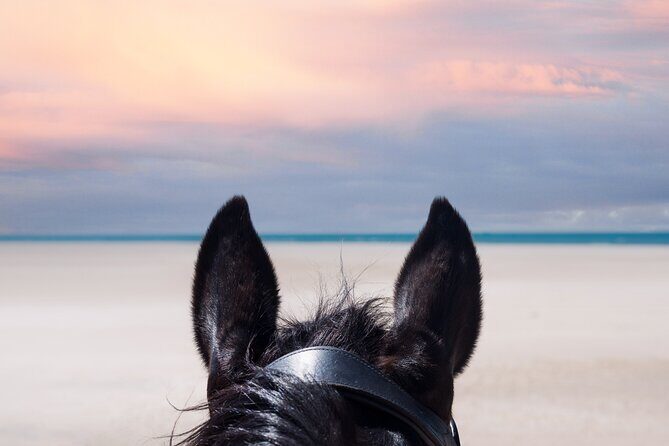 Horseback Riding Beach & Desert Adventure - FAQ