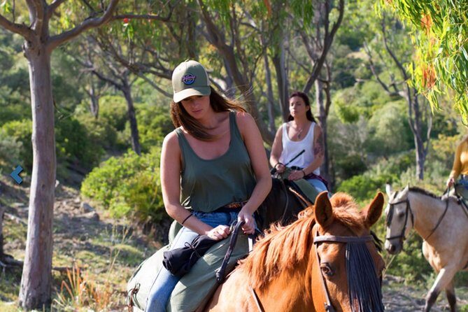 Horseback Riding by the beach or mountain in Tarifa, Spain - 1 to 2 hrs - Key Points